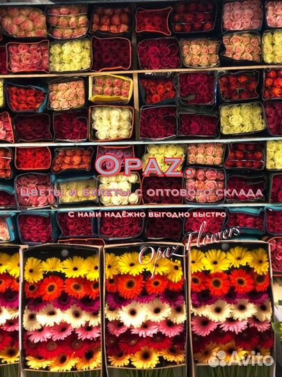 101 роза Букет Цветы Доставка