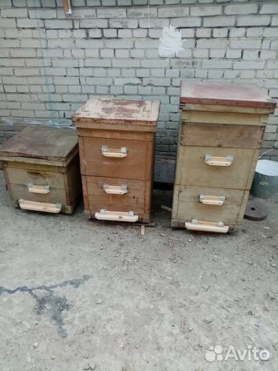 Пчелы пасека