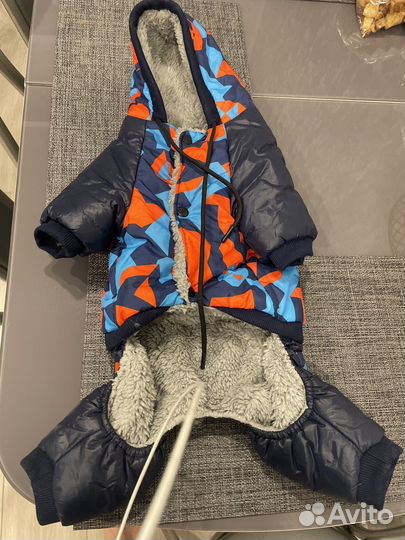 Одежда для собак