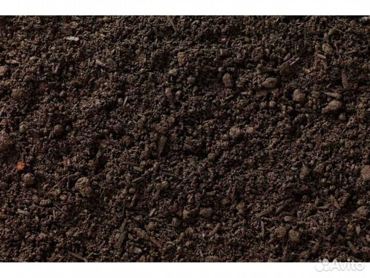 Грунт Ярославль