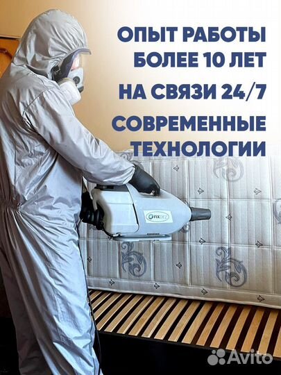 Травить клопов тараканов дезинфекция дезинсекция