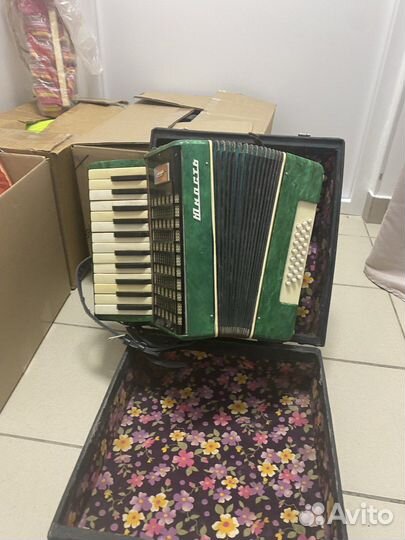 Аккордеон