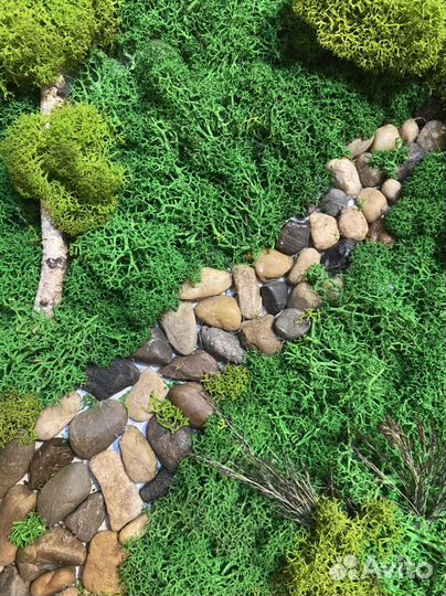 Картина из стабилизированного мха