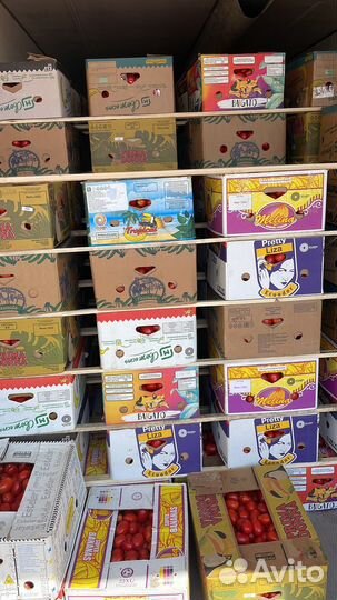 Помидоры сливка оптом