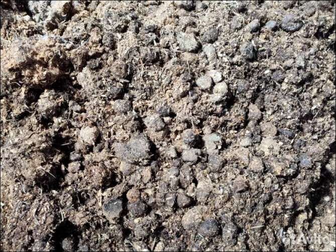 Подстилка из конского навоза с опилками 50 литров