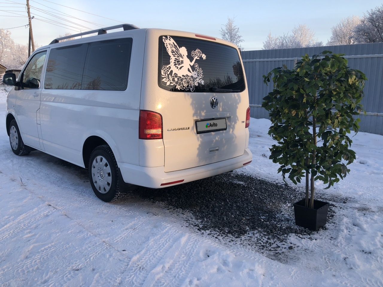 Volkswagen Caravelle: фото владельца