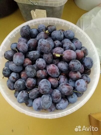 Слива крыжовник (заморозка) тыква