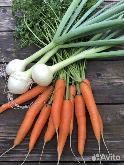 Помидоры, кабачки, картофель, морковь, огурцы