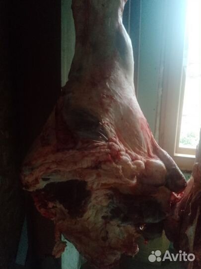 Мясо говядина