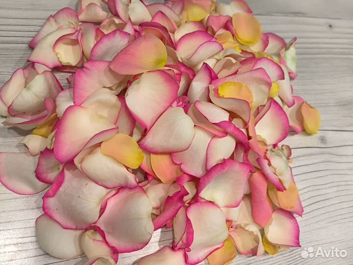 Лепестки роз свежие