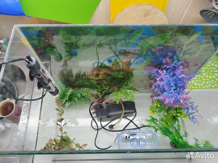 Аквариум