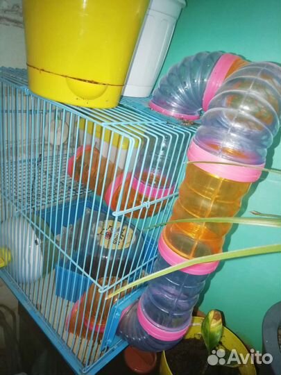 Клетка для грызунов