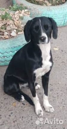 Заберите меня