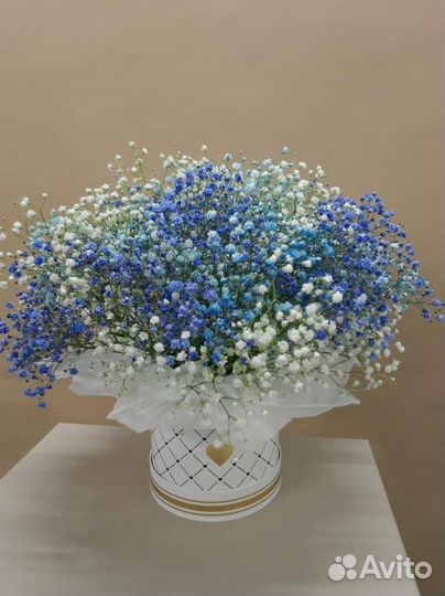 Гипсофила с доставкой