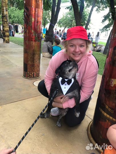 Груминг животных (стрижка животных, уход)