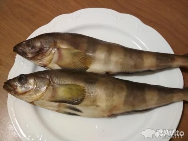 Рыба и морепродукты доставка