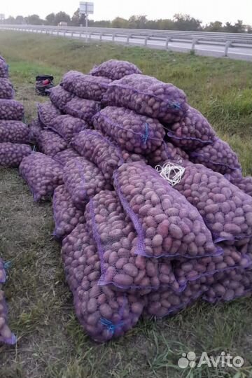 Фермерские продукты/картофель