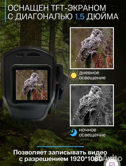 Прибор ночного видения