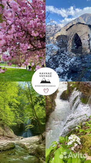 Экскурсии и туры по Чечне Гид по Чечне