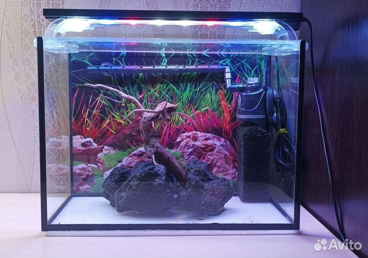 Аквариум (полный комплект)