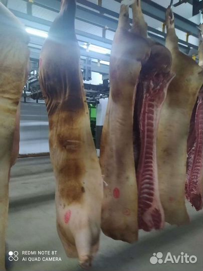 Свинина полутуши