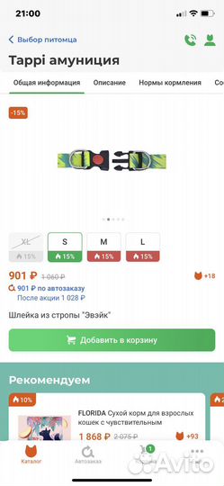 Амуниция для собак