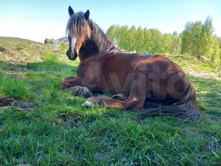 Участок 6,7 га (СНТ, ДНП)