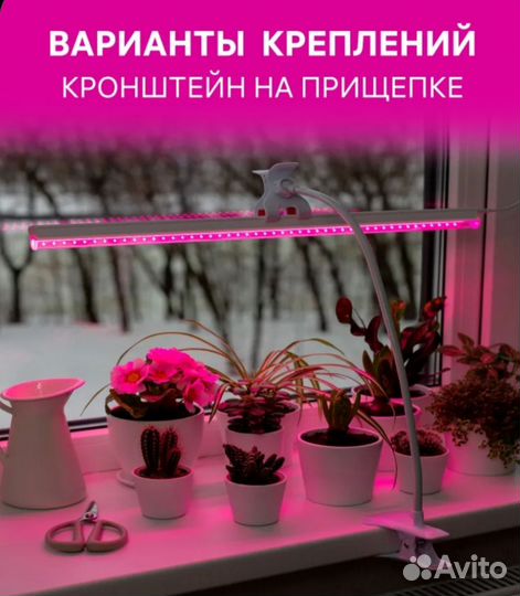 Фитолампа для растений