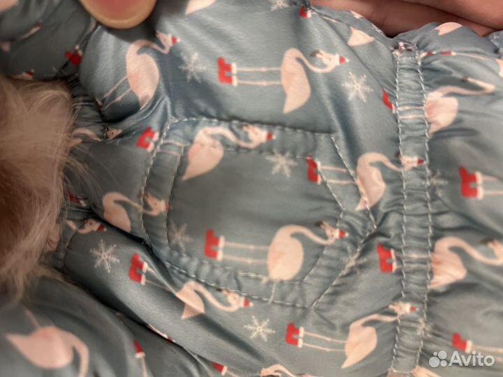 Одежда для маленьких собак