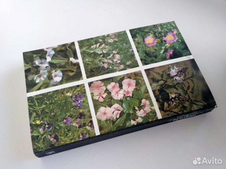 Справочник по лекарственным растениям А.Задорожный