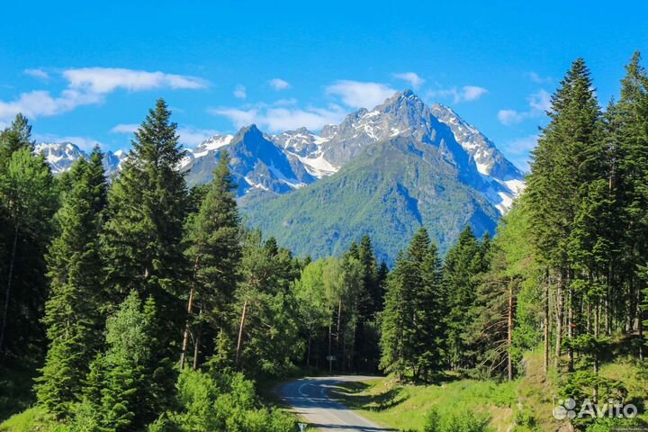 Туры в Домбай и Архыз