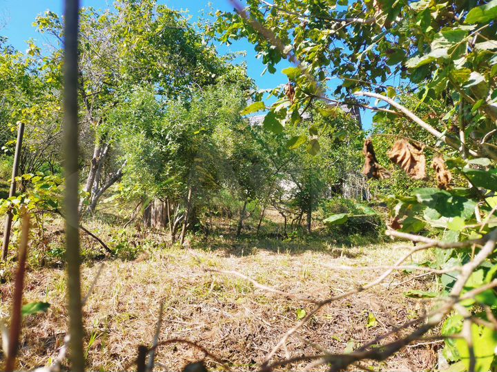 Участок 10 сот. (СНТ, ДНП)