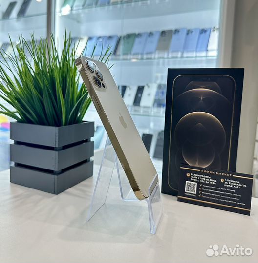 iPhone 12 Pro Max, 256 ГБ