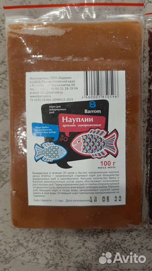 Артемия науплии