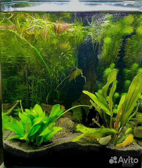 Светильник подвесной