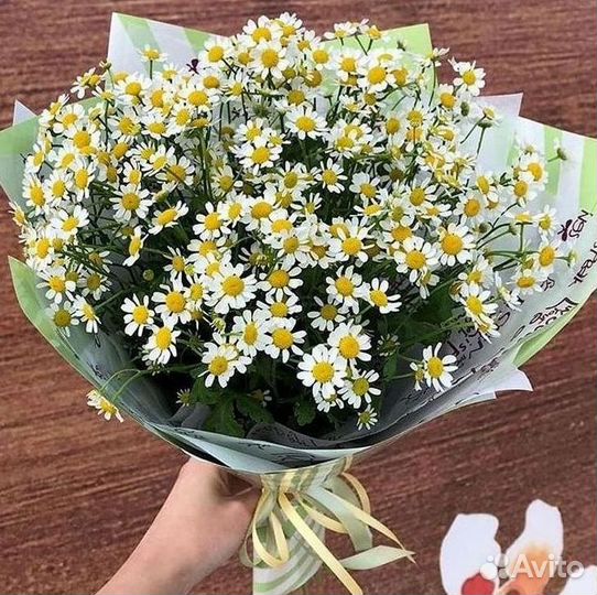 Ромашки Пионы Розы Доставка