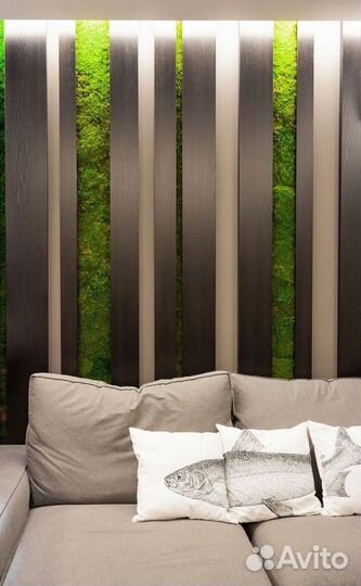 Фитодизайн для помещений