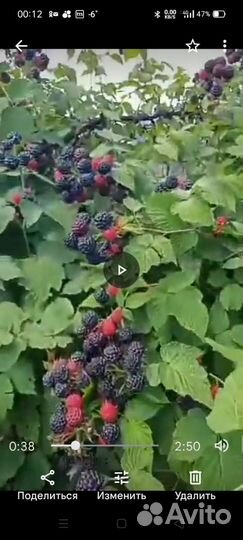 Все для сада и огорода