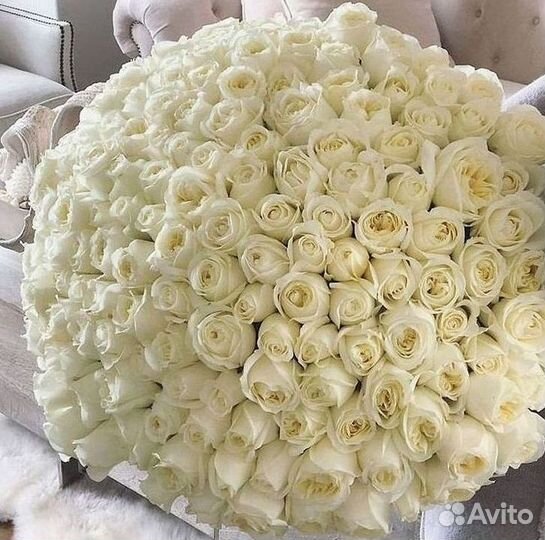 101 Роза Цветы Букеты 51 25 Роз Доставка