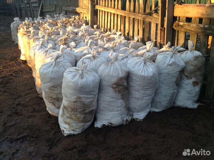 Конский навоз В мешках