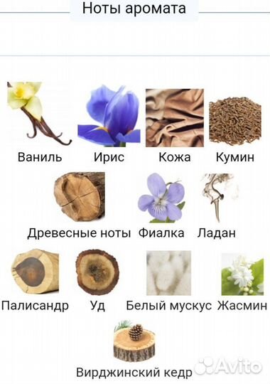 Omega Mendittorosa распив