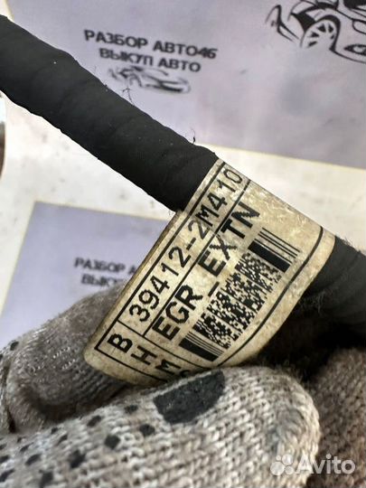 Проводка Kia K5 DL3 1.5 G4FS 2021