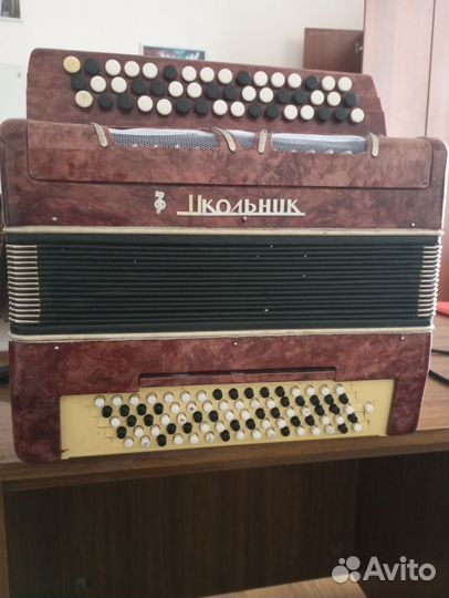 Баян Школьник