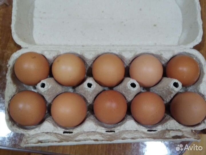 Домашние куриные яйца