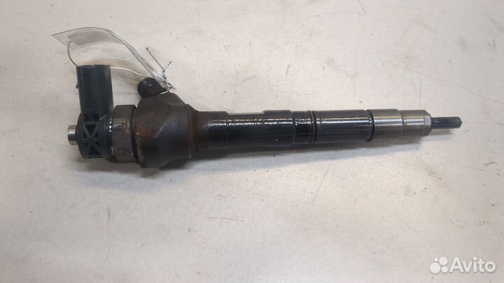 Форсунка топливная Volkswagen Passat 7 Европа