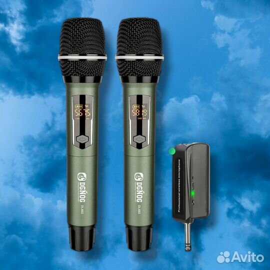 Dgnog DL 602 для вокала, караоке(2 микрофона)