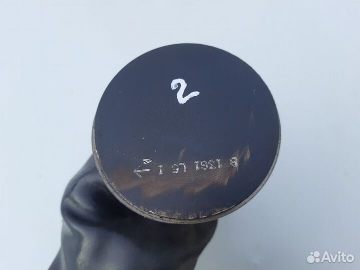 Поршни Рено Логан 1.4