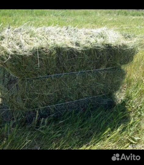 Сено в тюках