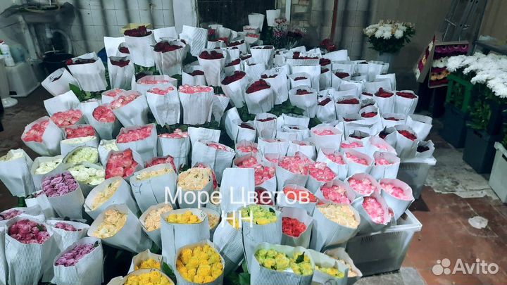 Цветы Розы Оптом и в Розницу