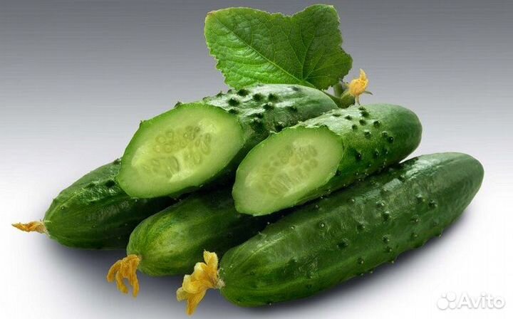 Сборщик урожая огурца оплата 3 раза в месяц